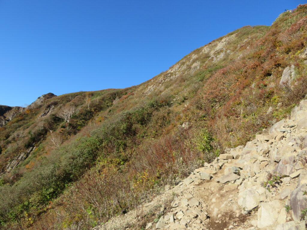左奥に少し見えるのが雨飾山
この上は平らな笹平が広がっています