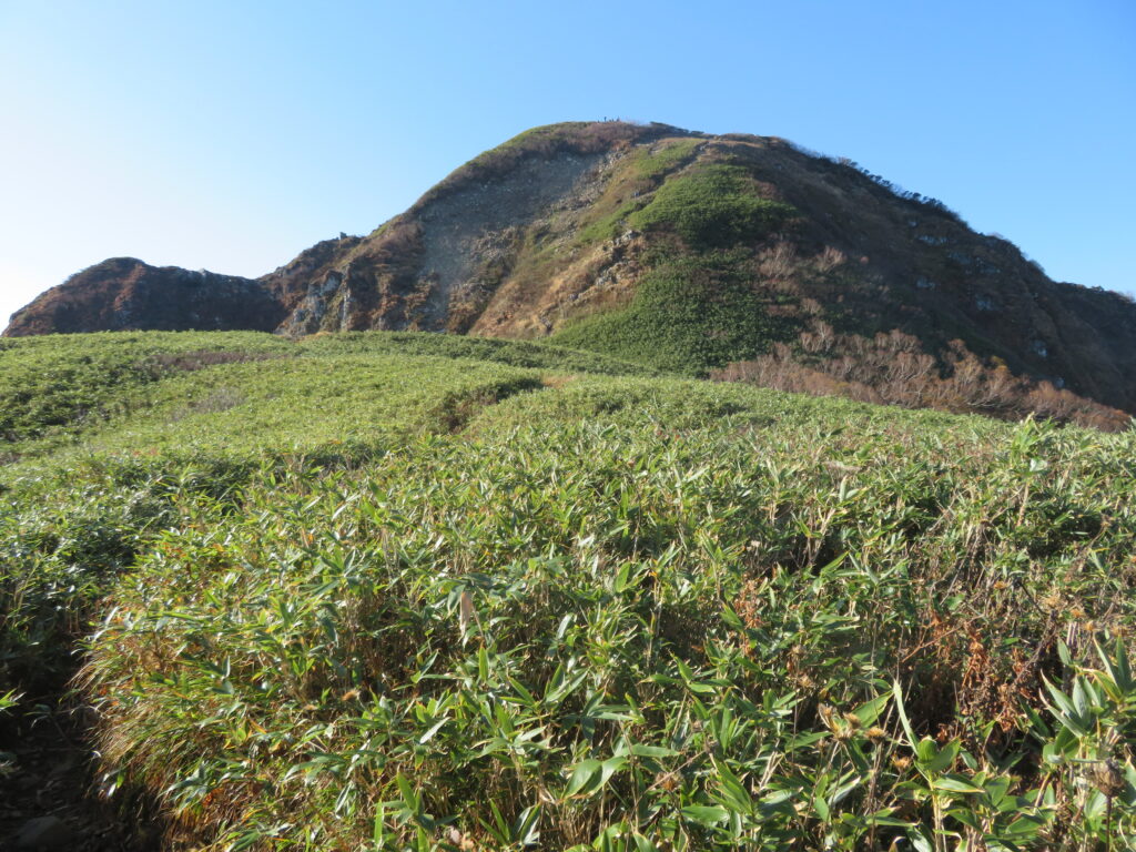 たぶん女神の鼻にいると思う