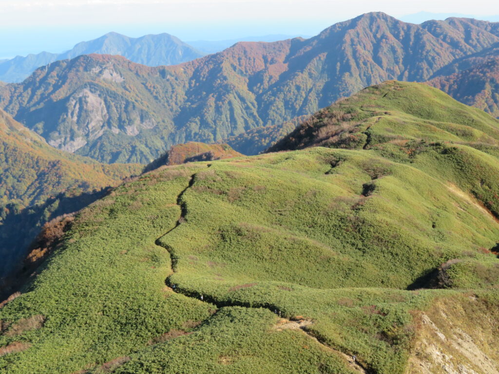 女神に出会えた!
