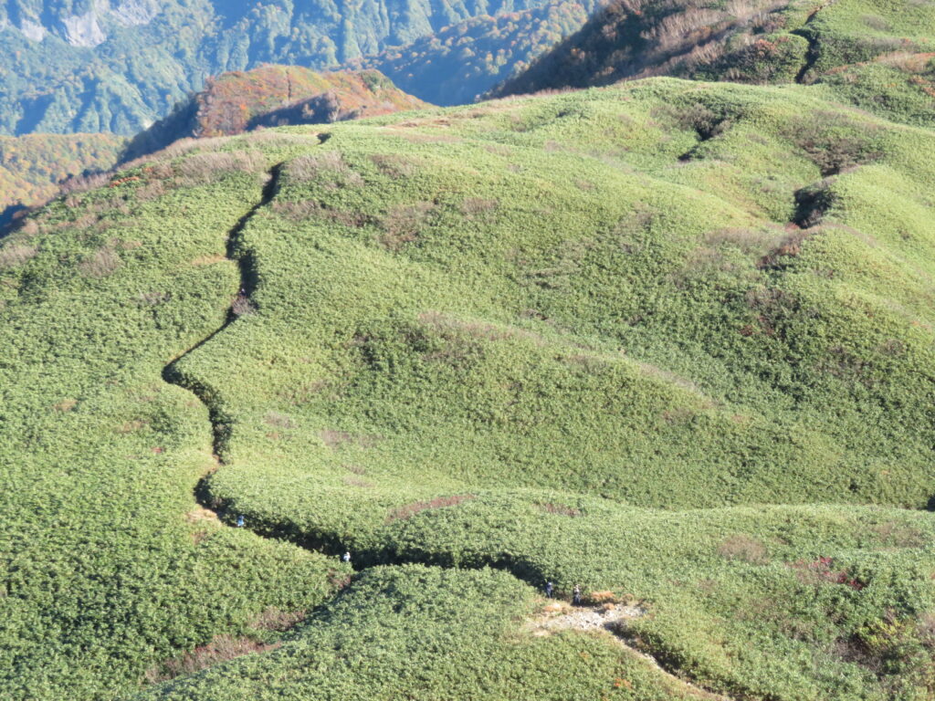 高い鼻筋ですね
西洋美人