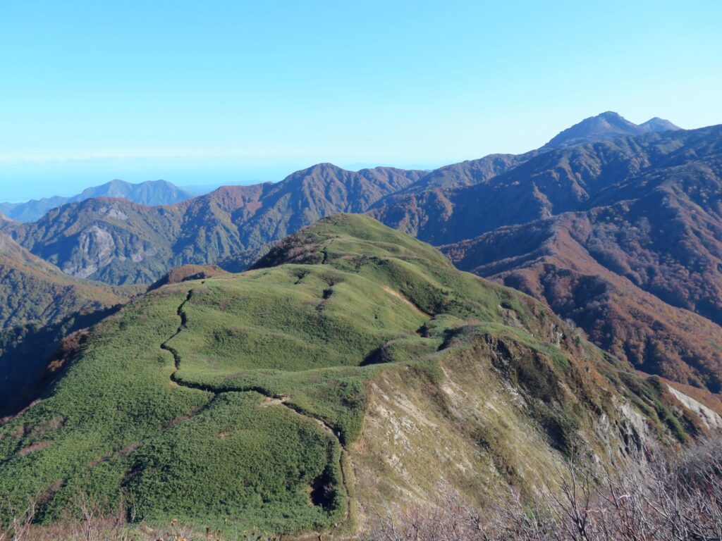 本日のベストショット