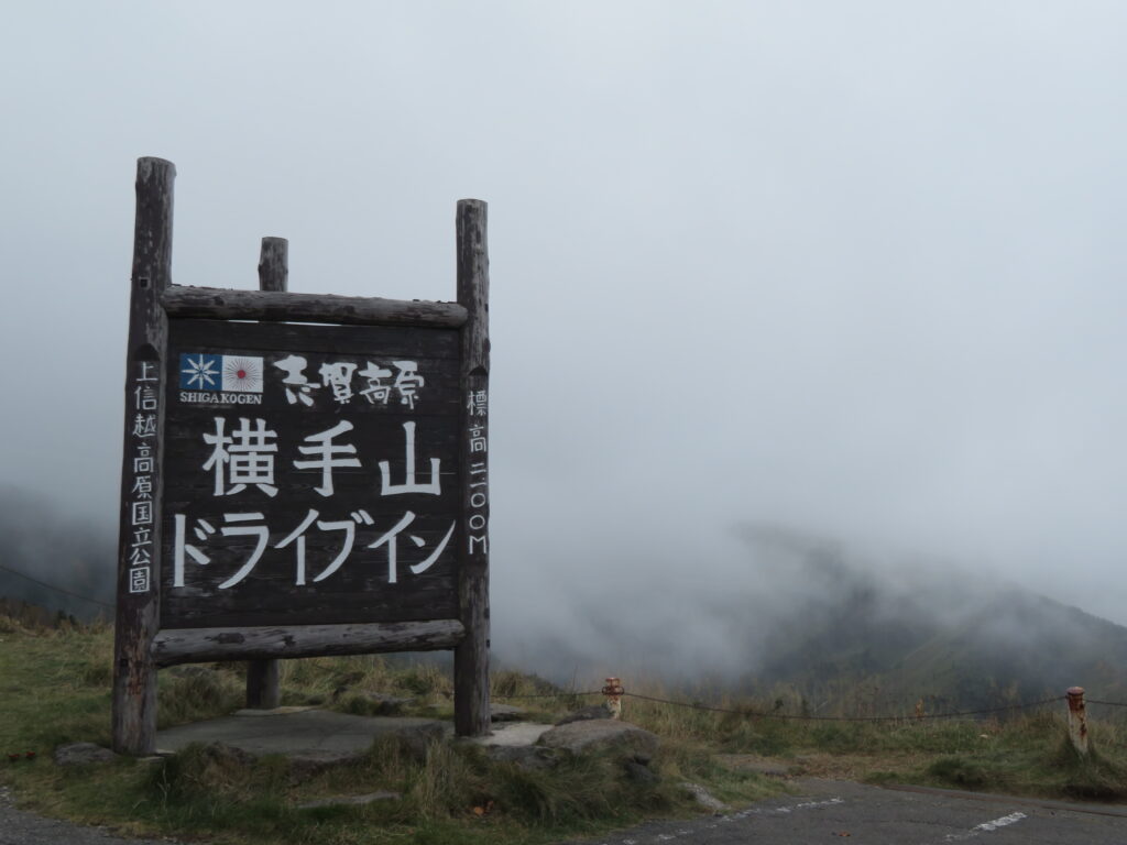 こちらも真っ白ですね