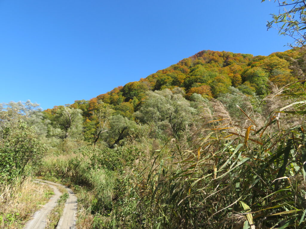 木道まで下山してきました
ここも綺麗な場所