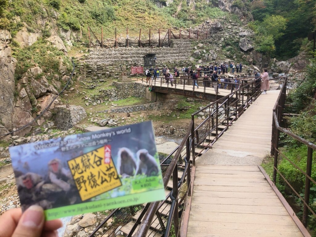地獄谷野猿公苑に到着
奥に天然の露天風呂があります