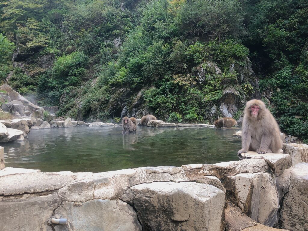のどが渇いているのかみんな湯を飲んでいます