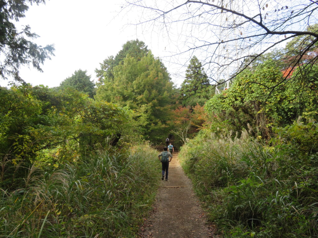 いつもの撮影場所