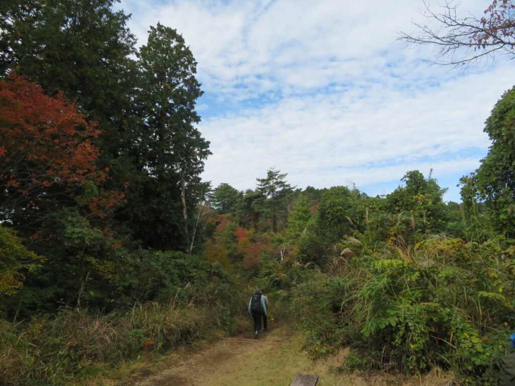小仏城山へ向かいます
雲が綺麗!