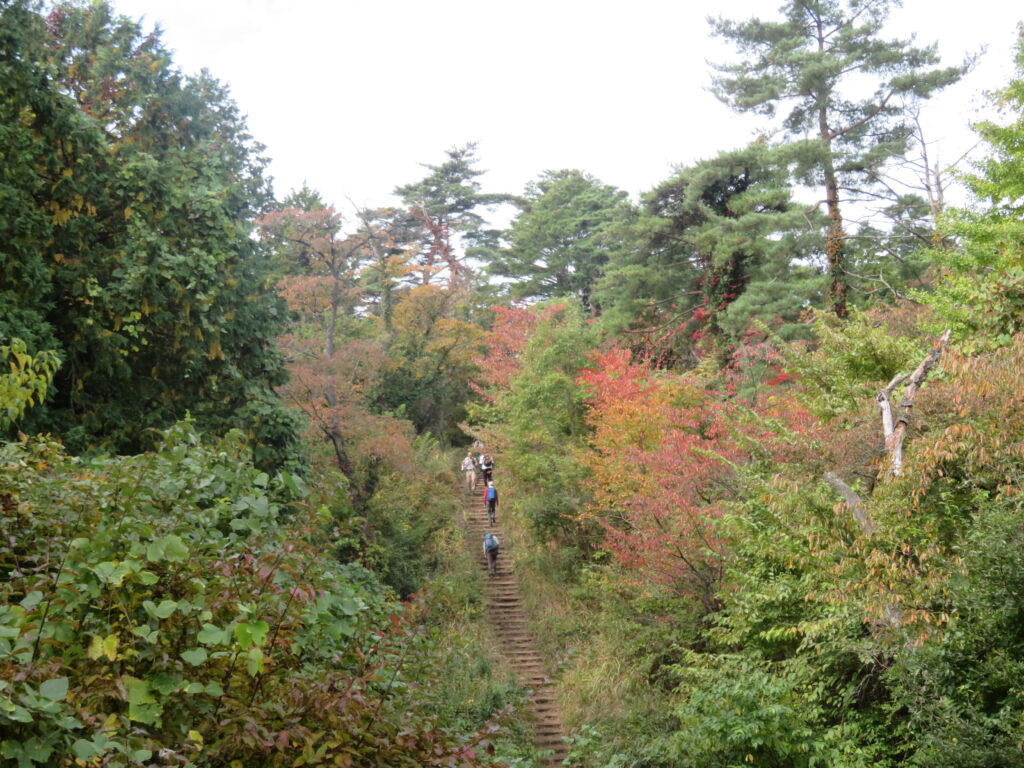 この登山道も綺麗