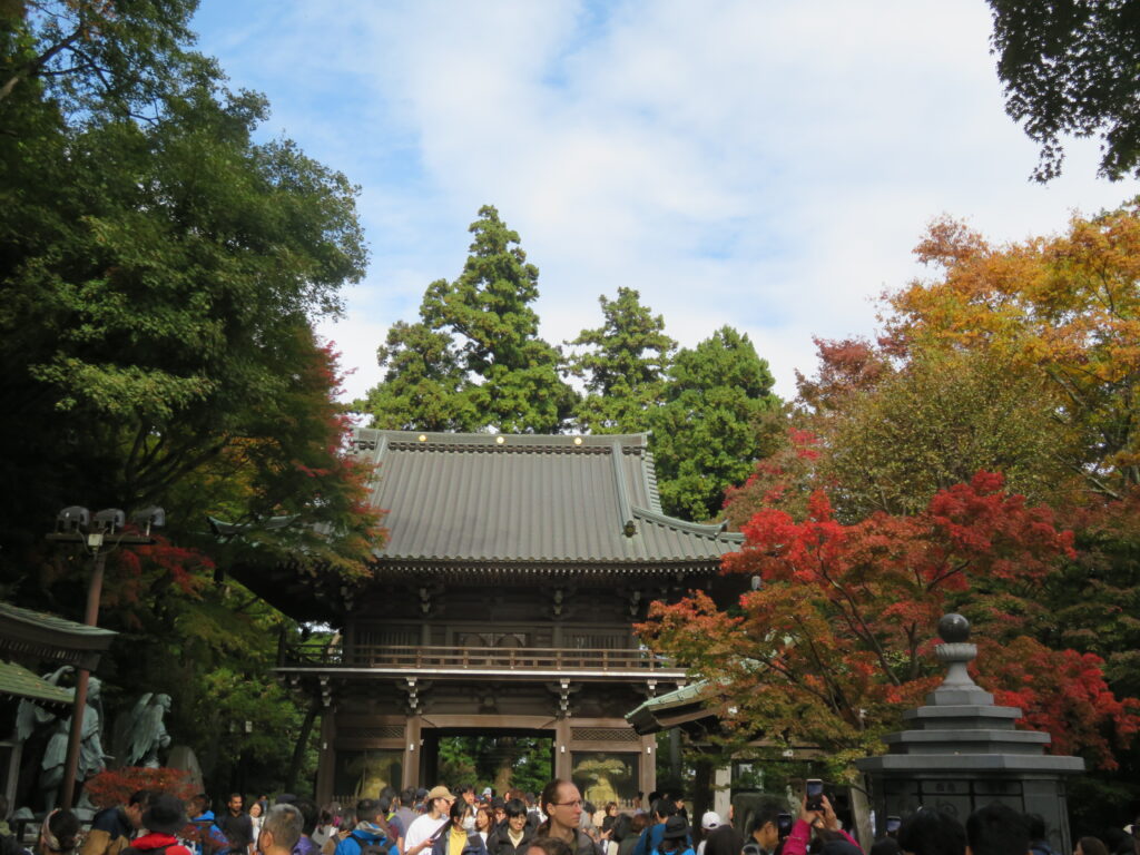 薬王院は人がいっぱい