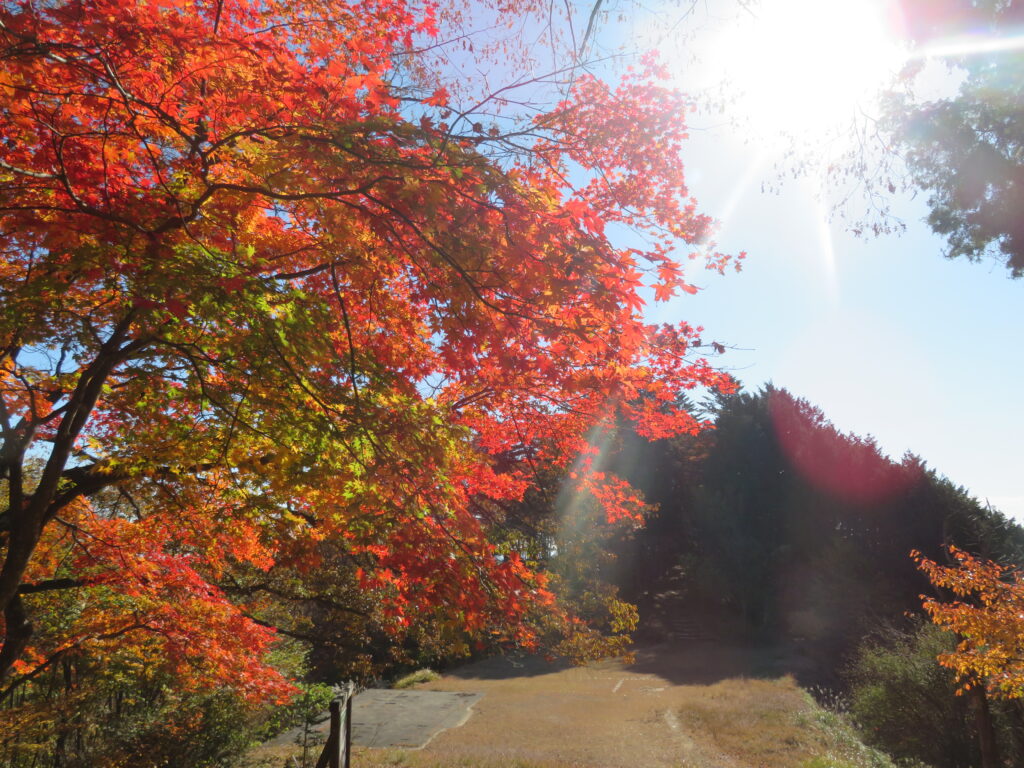 長尾平まで来ました
広くて気持ちい場所です