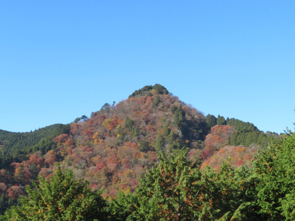 奥の院の紅葉が綺麗です