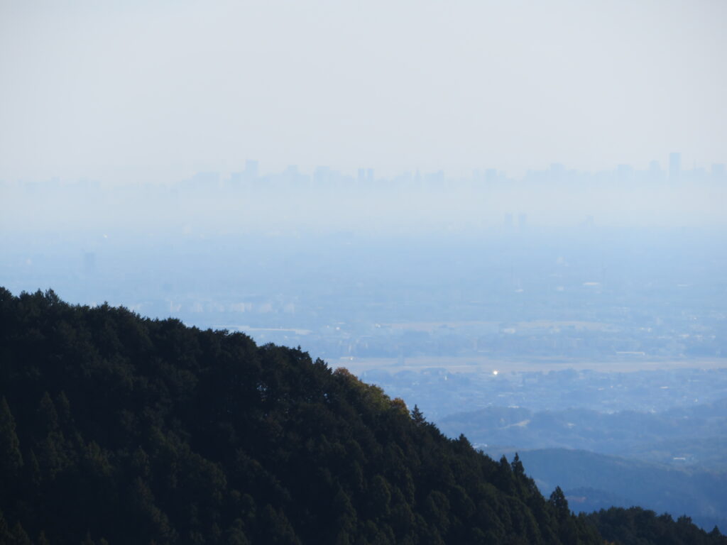薄い霧に浮かぶ都心が幻想的