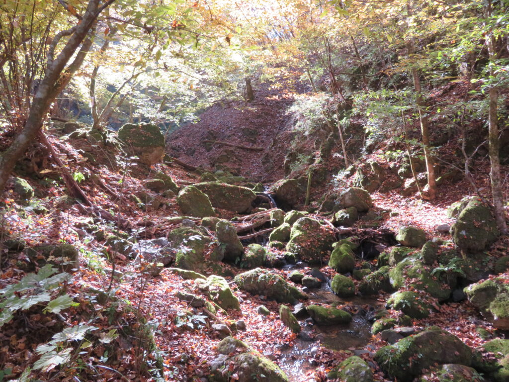 スポット③「ロックガーデン」