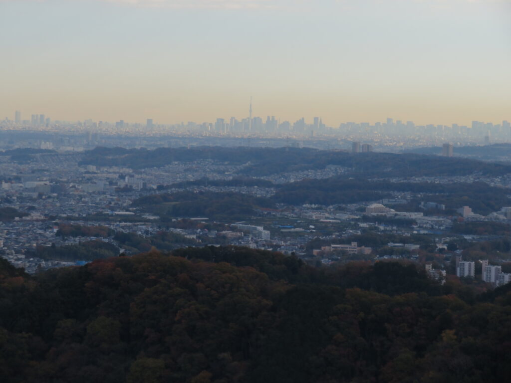 稲荷山の山頂より
都心の風景