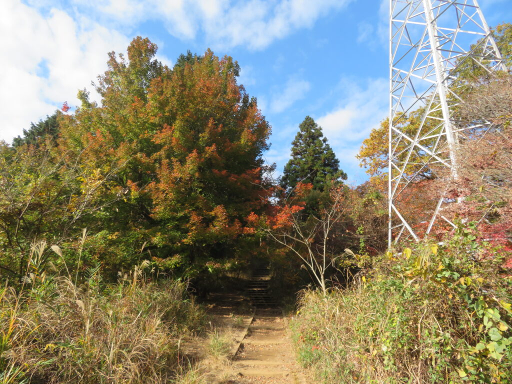 いつもの撮影場所