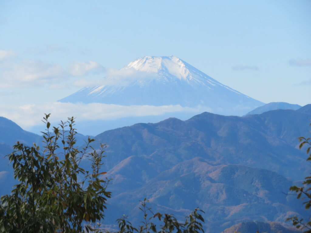 いつもよりくっきりと美しい富士山!