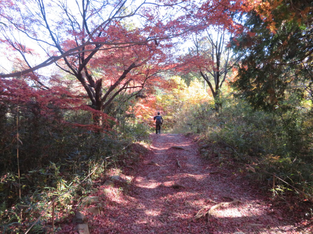 落ち葉で道も赤く染まっています
