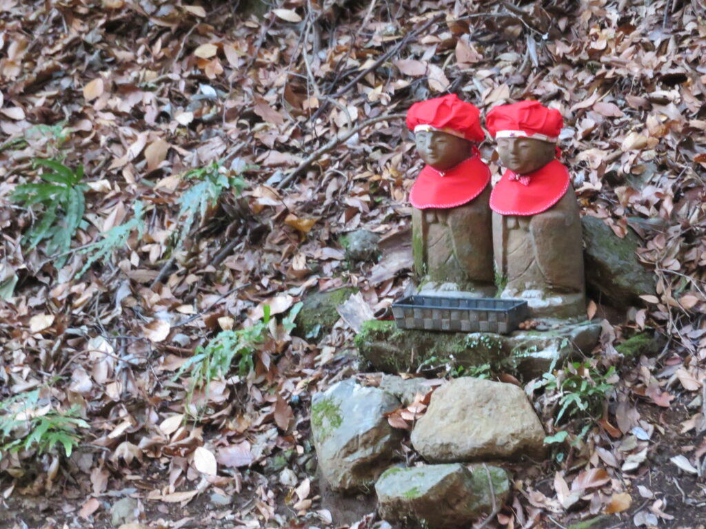 いつもの撮影場所