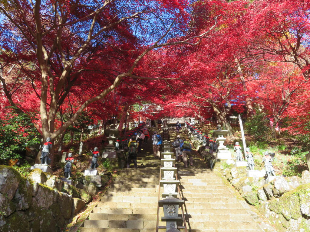 大山寺
素晴らしい紅葉🍁