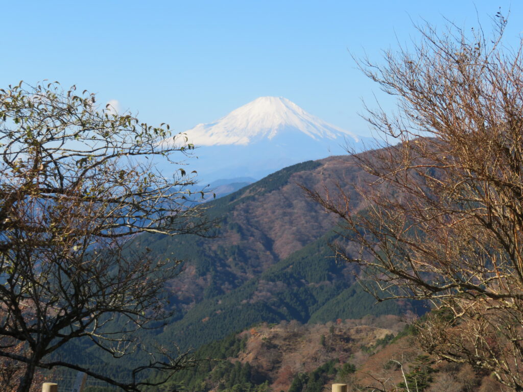富士見台からの富士山