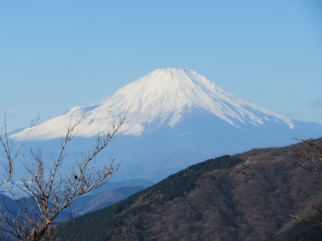 富士山ドーン！