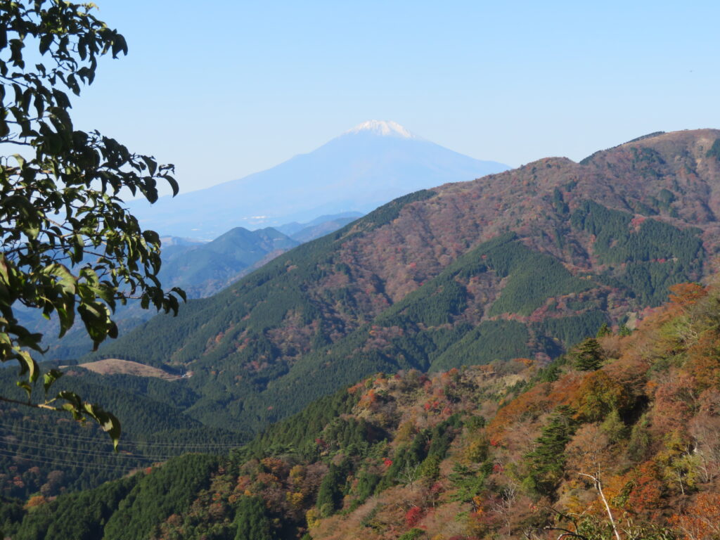 富士見台からの富士山