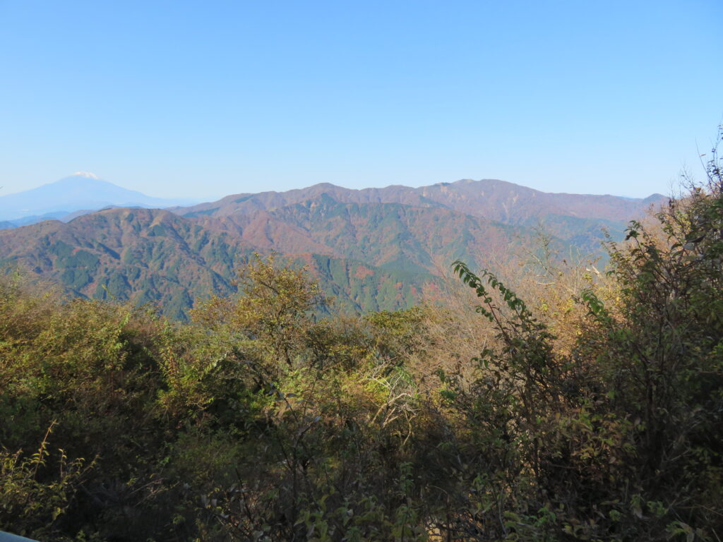 塔ノ岳から丹沢山までの稜線