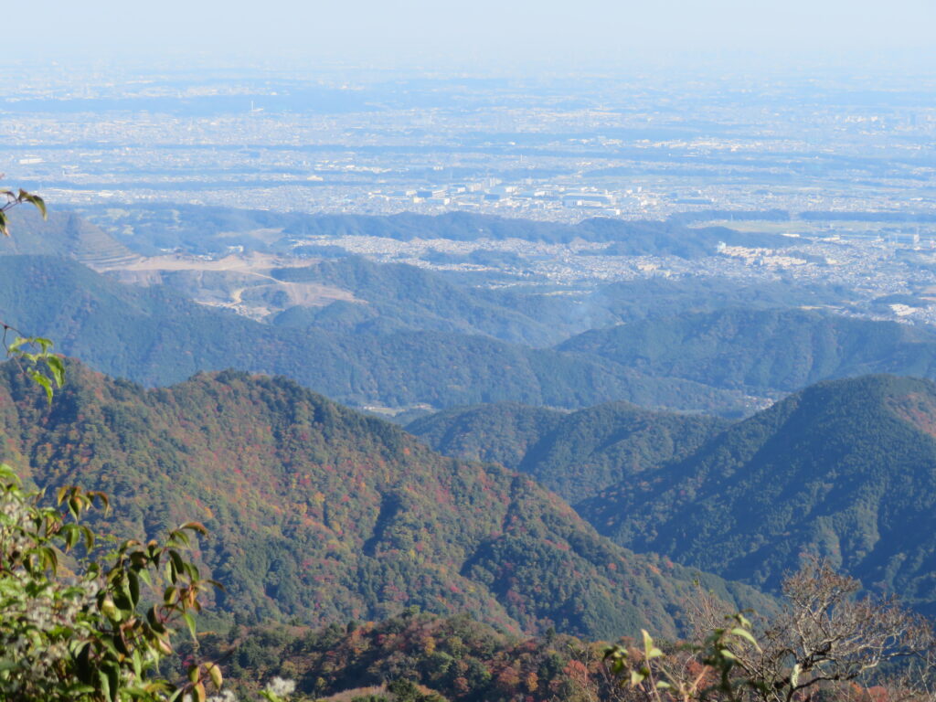 街並みが綺麗(伊勢原市かな?)