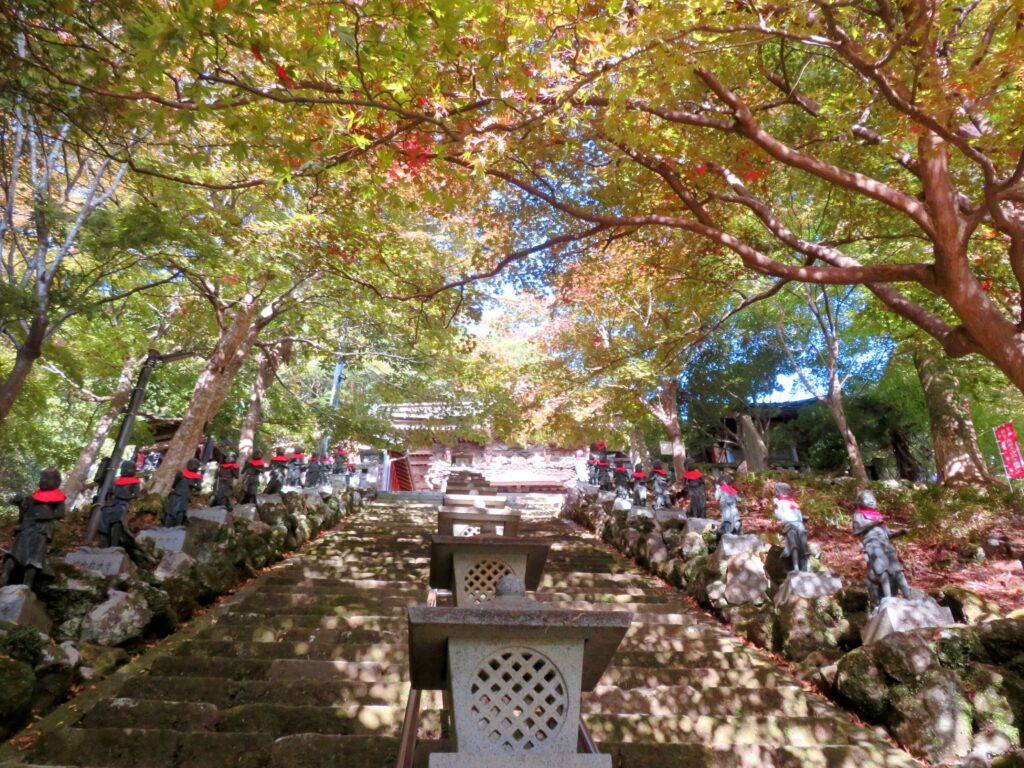 色づき始めた紅葉