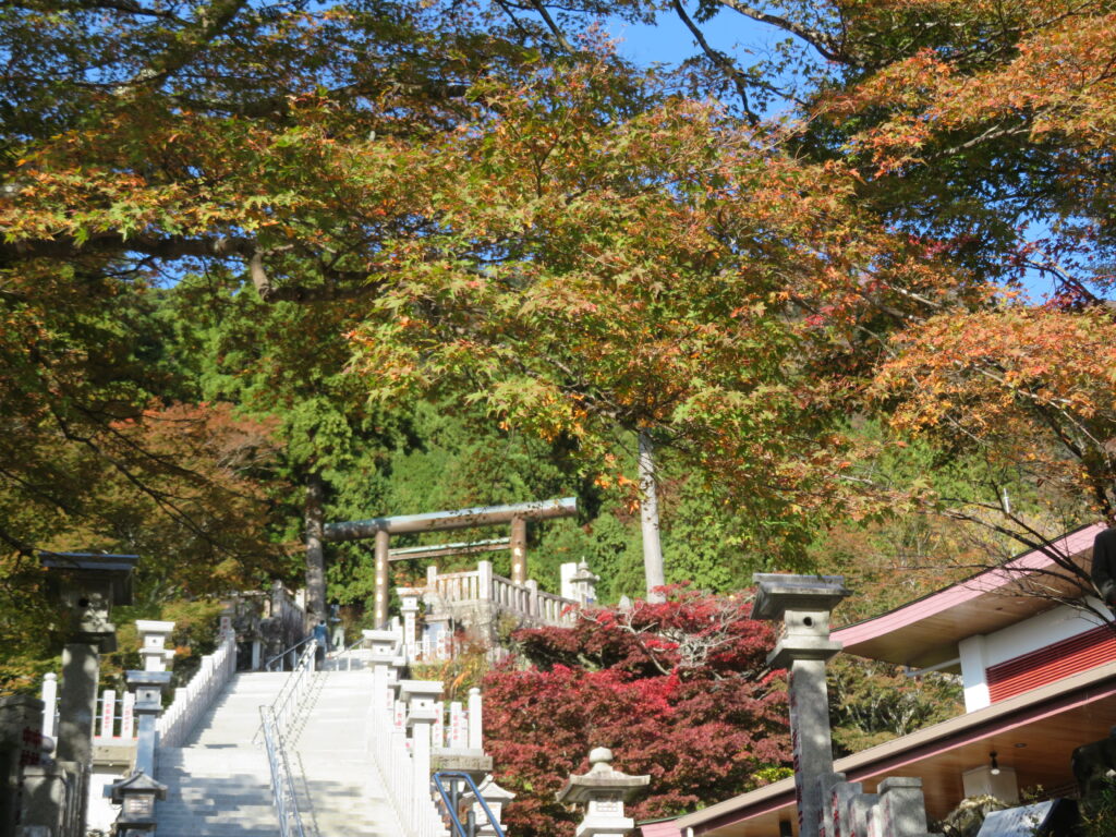 阿夫利神社へ続く石段