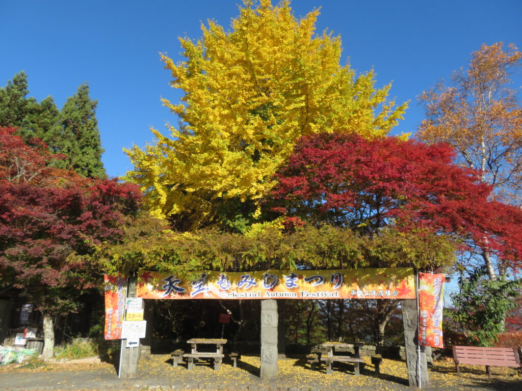 「天空もみじ祭り」をやってます