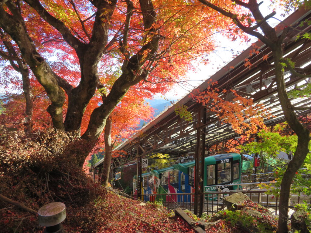 ケーブルカーで登ってきました