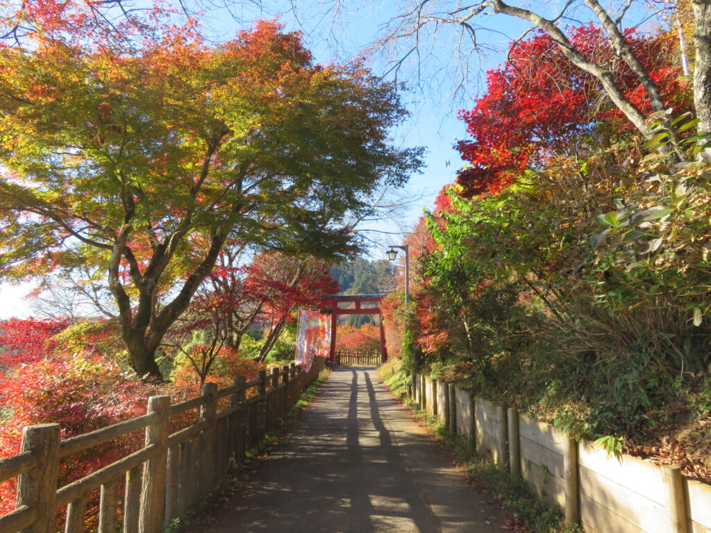 開始早々……
紅葉が綺麗で先に進めません💦