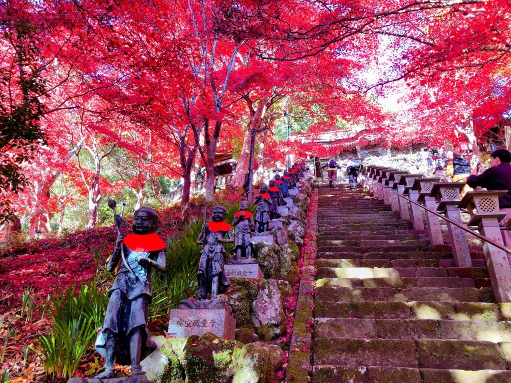 燃えるように真っ赤なもみじ✨