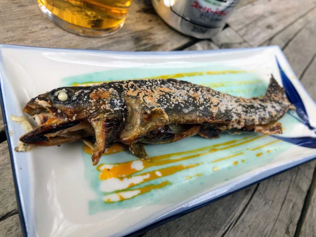 紹介していたイワナの塩焼き！