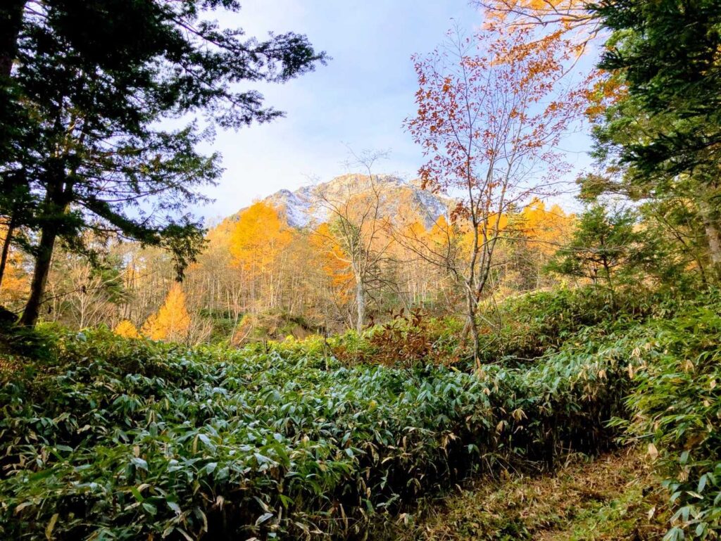 焼岳が近くなってきました。