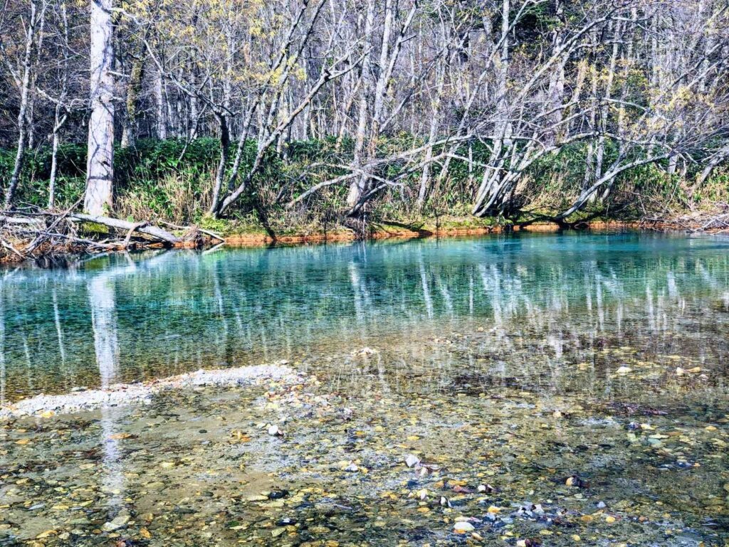すごく神秘的！
