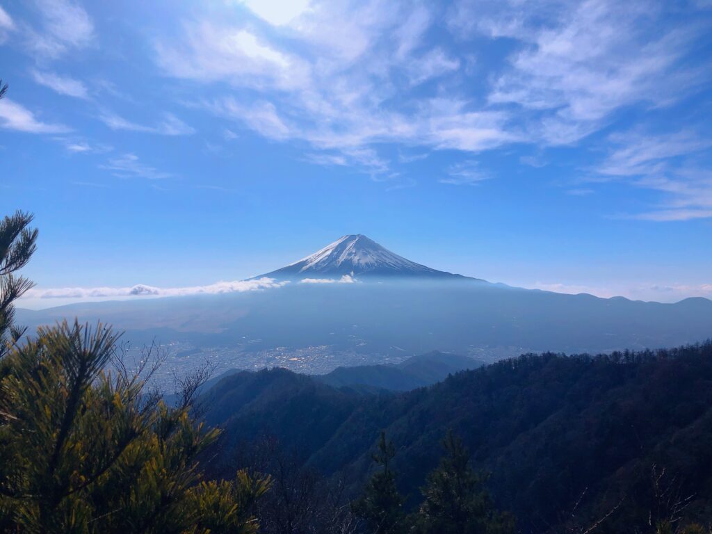 本日のベストショット