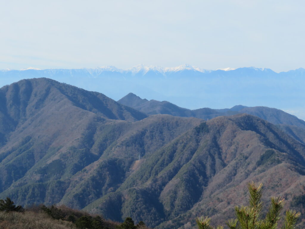 遠くには南アルプス