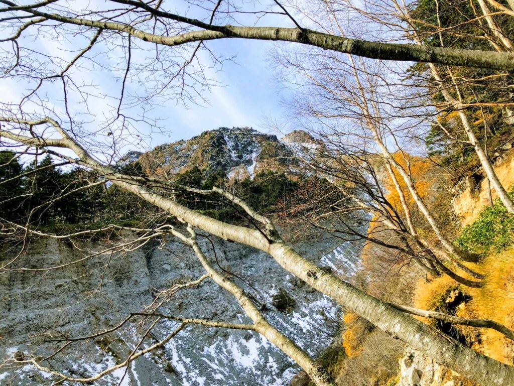 頂上が近くに見えますが、ここから先は進めずＵターン、、、