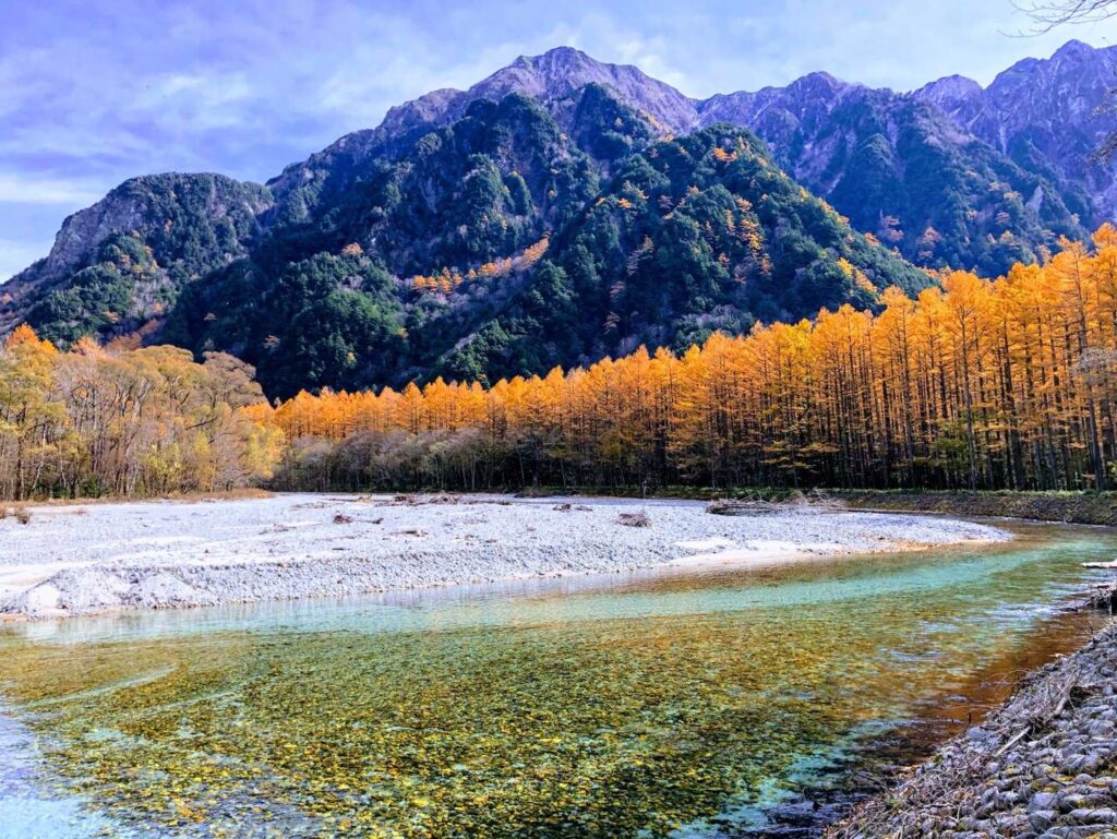 ここの紅葉がすごくないですか？
燃えるような紅葉が長く長く続いています。