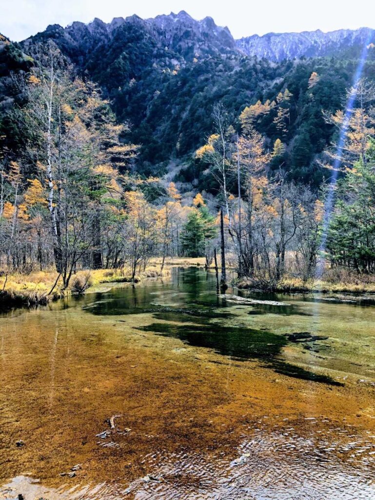 こちらは田代池。
