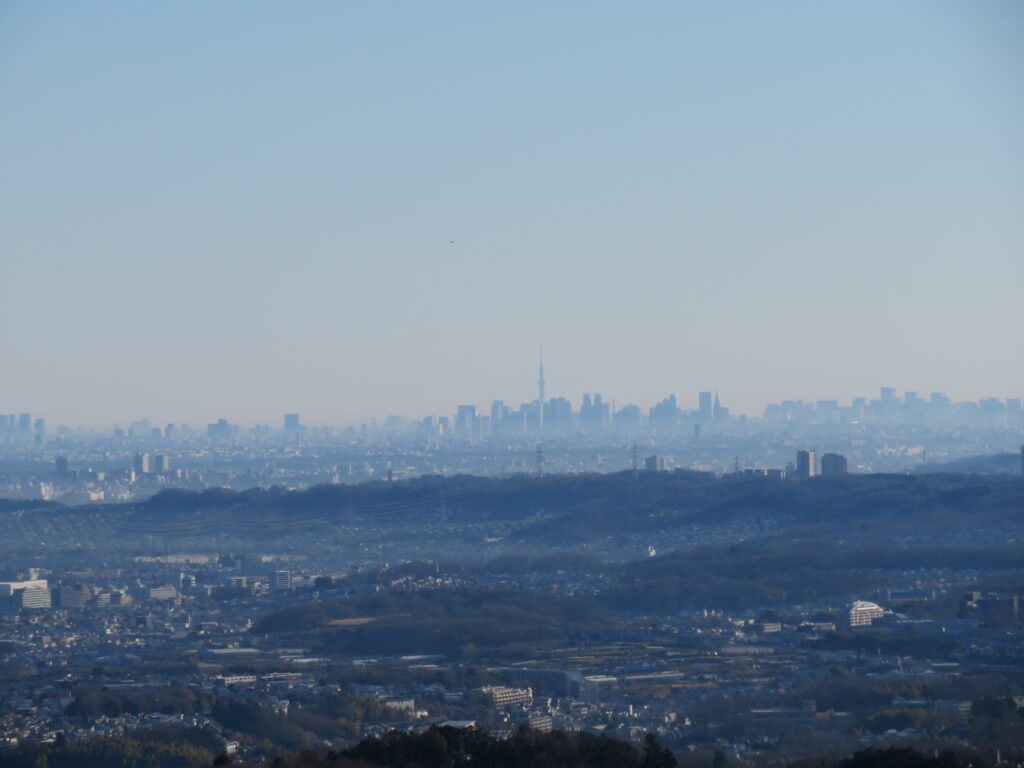 稲荷山の山頂
都心とスカイツリー