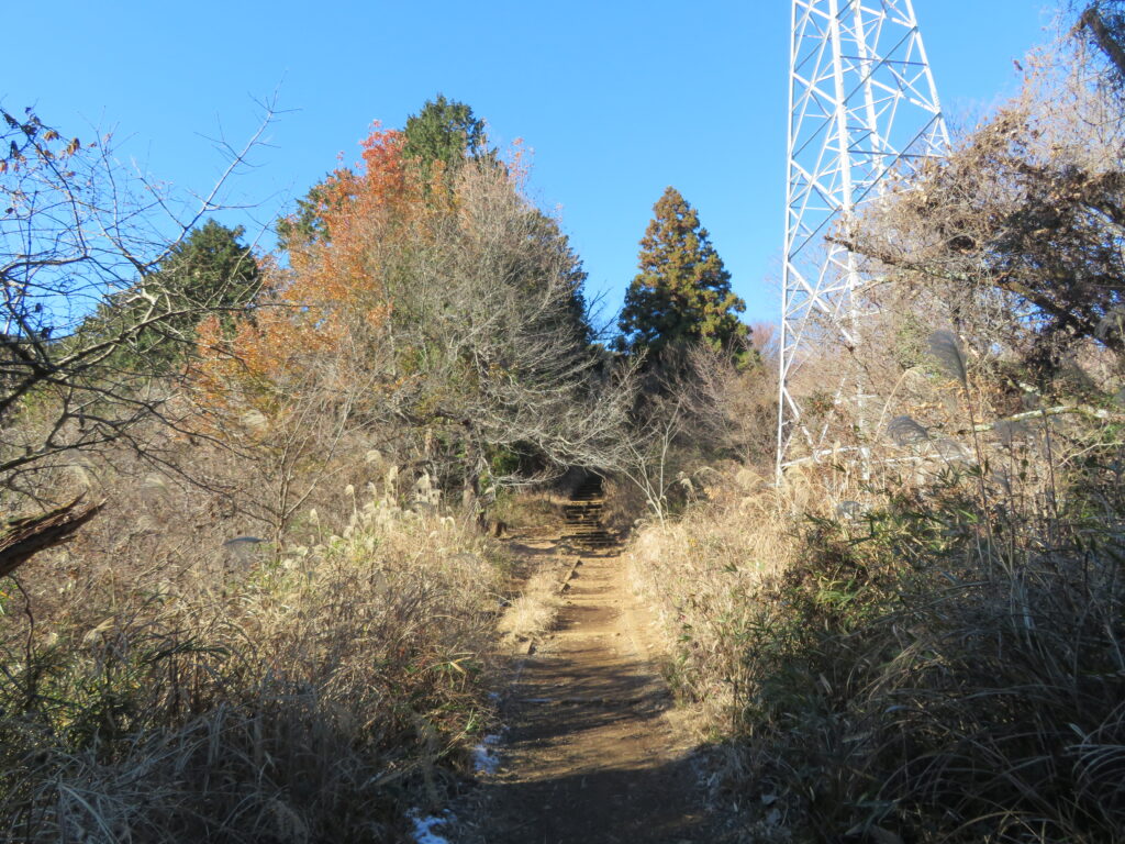 いつもの撮影場所