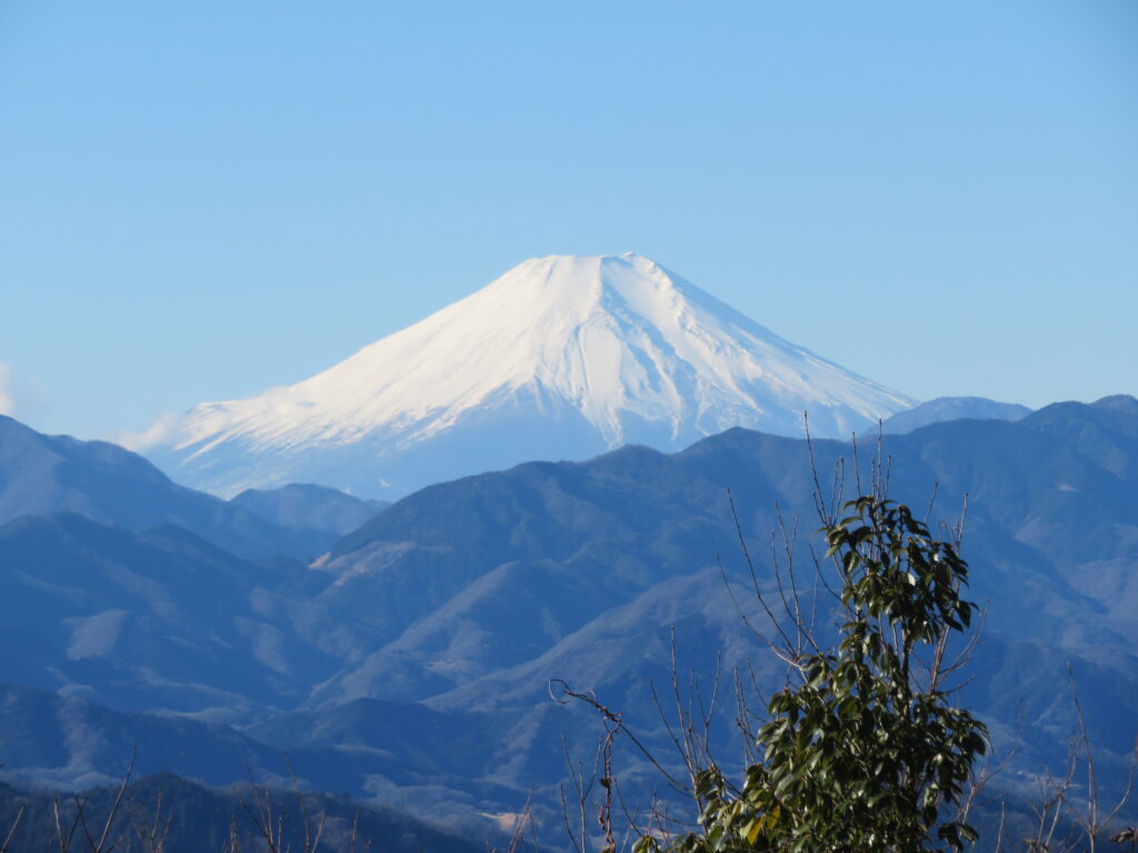 富士山が綺麗ですね！