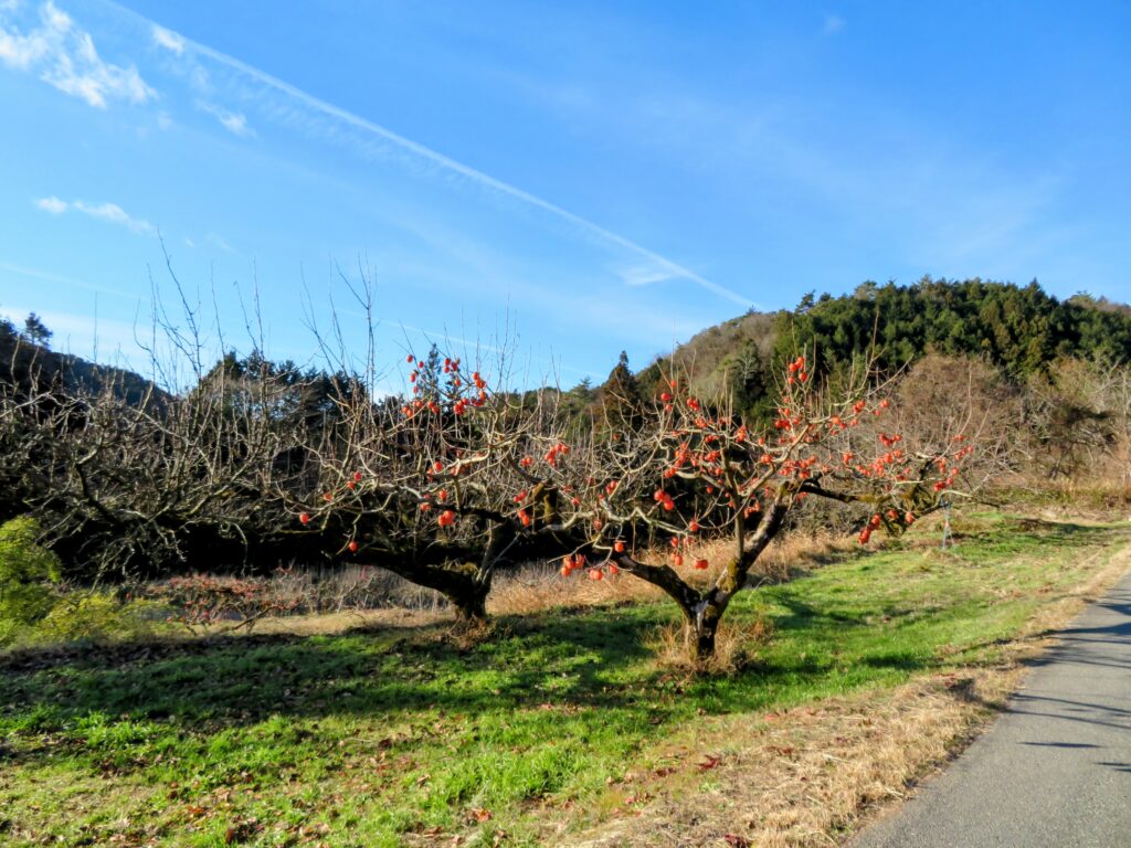 この場所は最高によかったです🥰
