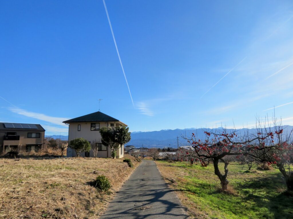 南アルプスへ続く長い道