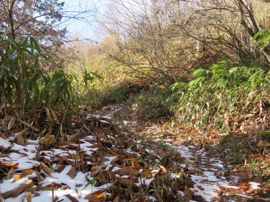 山頂手前に少し雪がありました