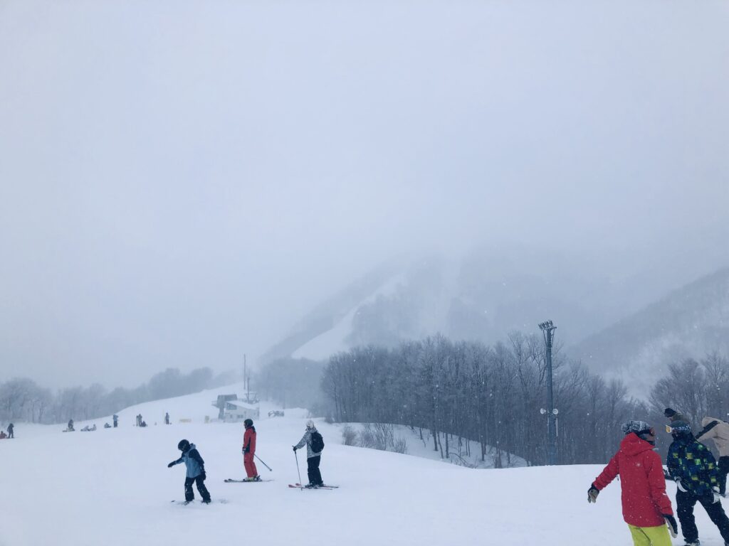 山頂方面は真っ白に覆われています