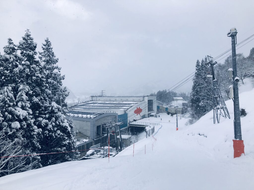 下山コースでゴンドラ乗り場まで下ってきました